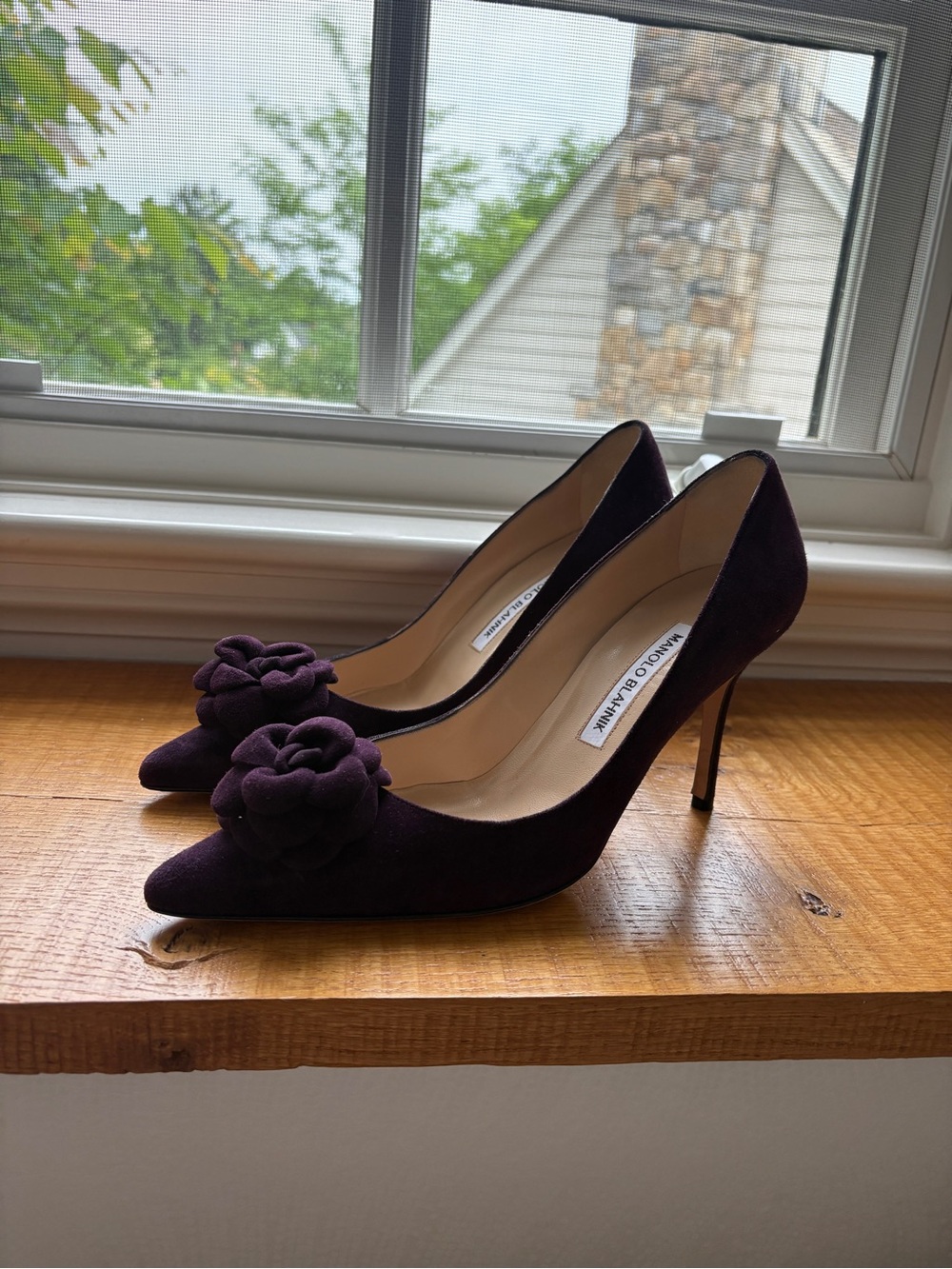 Manolo Blahnik Women's Deep Purple Suede Pointed-Toe Pumps with Rosette